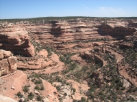 Lime Canyon View